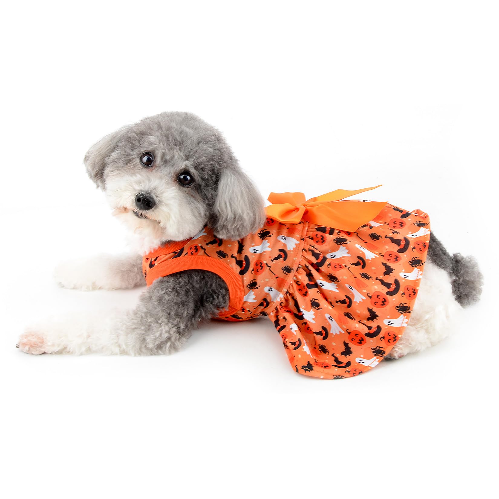 Ranphy Halloween Dog Dress for Small Dog Lightweight Pets Clothes Cute Girl Doggies Skirt Elastic Outfits with Bow Ghost Pumpkin Bat Witch Hat Puppy Cat Holiday Cosplay Costume - Image 4
