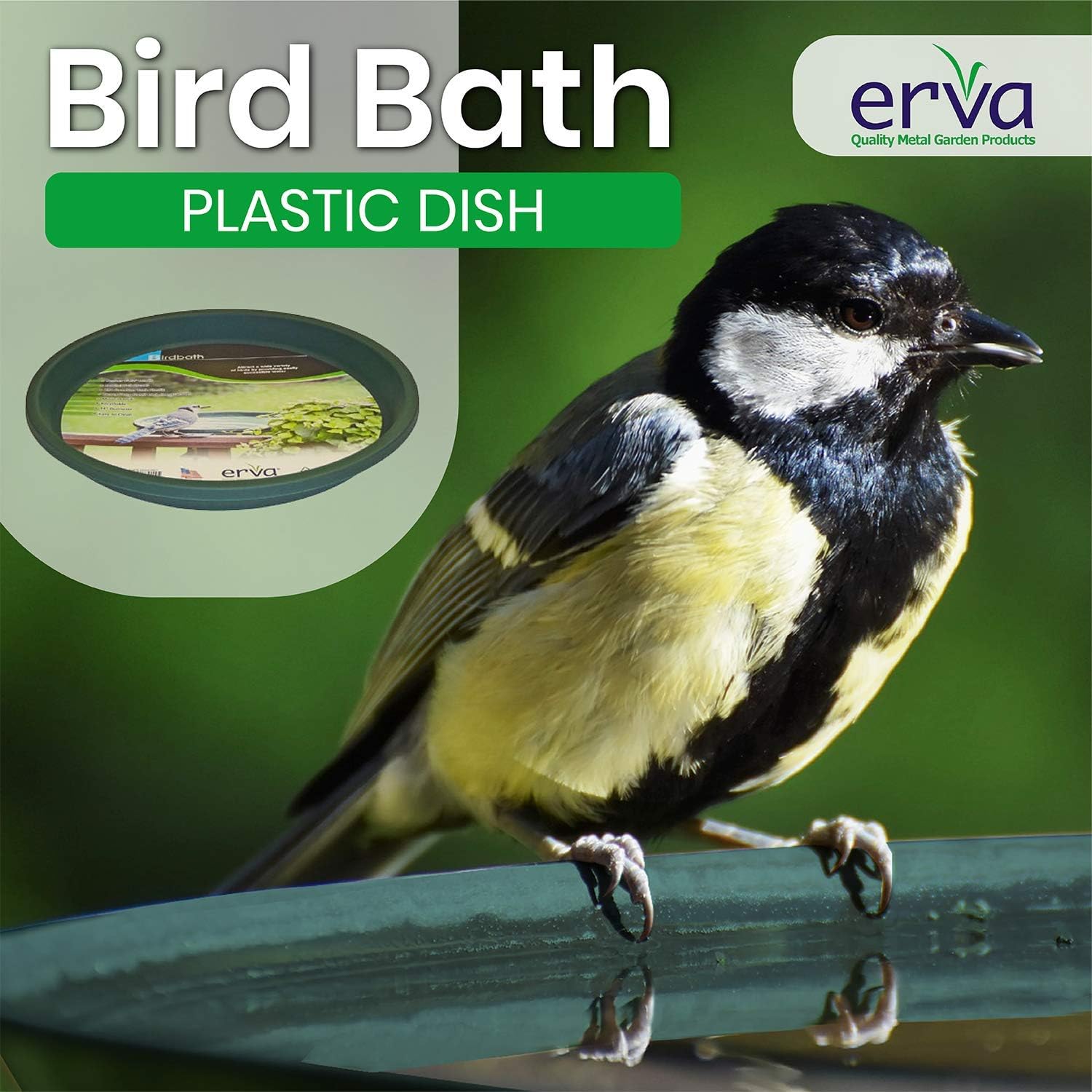 Erva D14GR 14 in. dia. Bird Bath Plastic Dish; Green