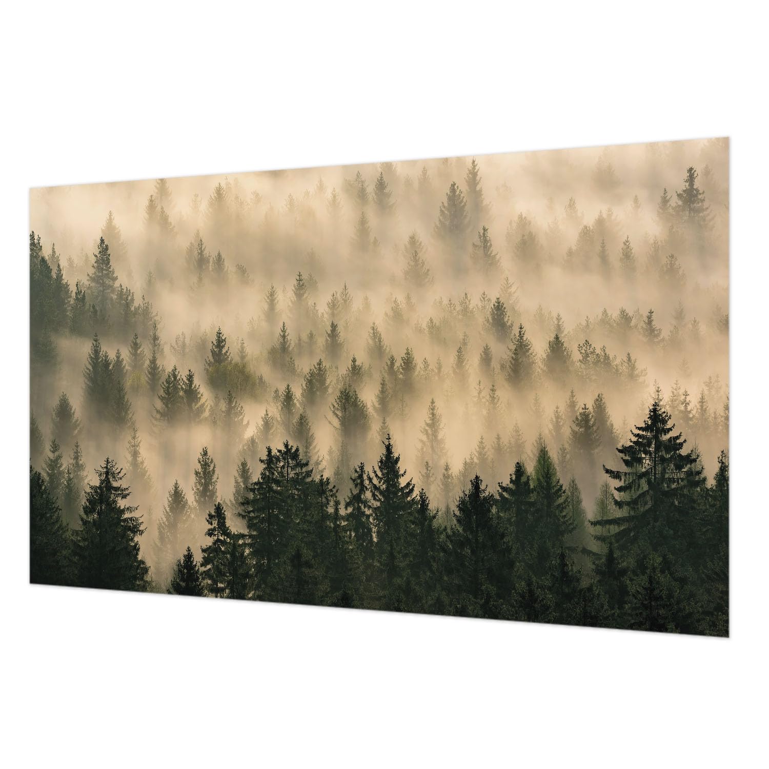 Papier peint intissé brouillard forestier 416x254 décoration murale