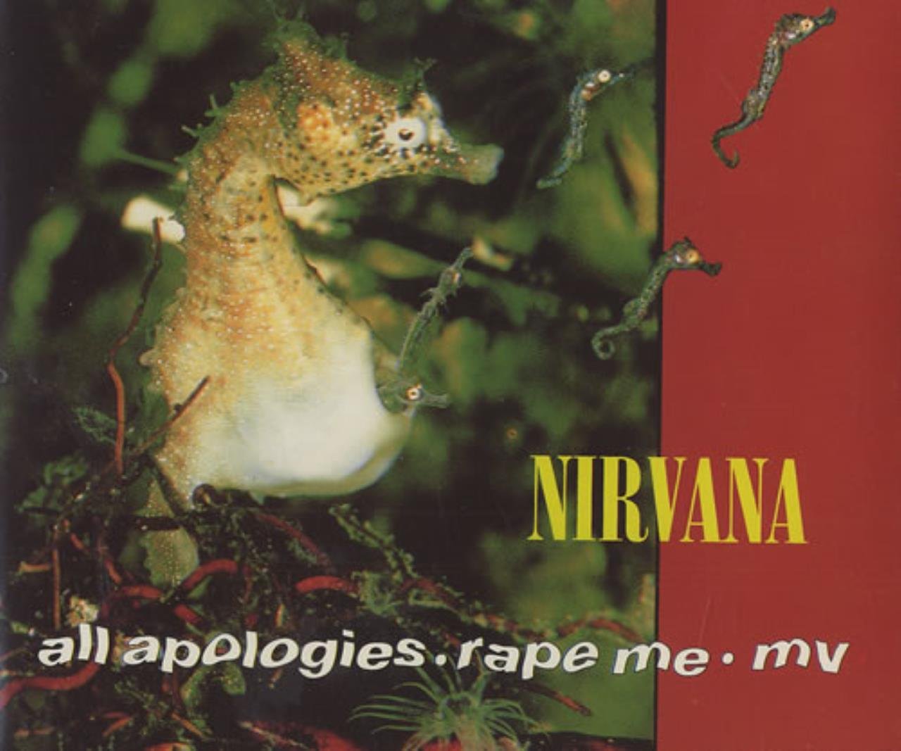 All Apologies Nirvana Amazon.in Music}