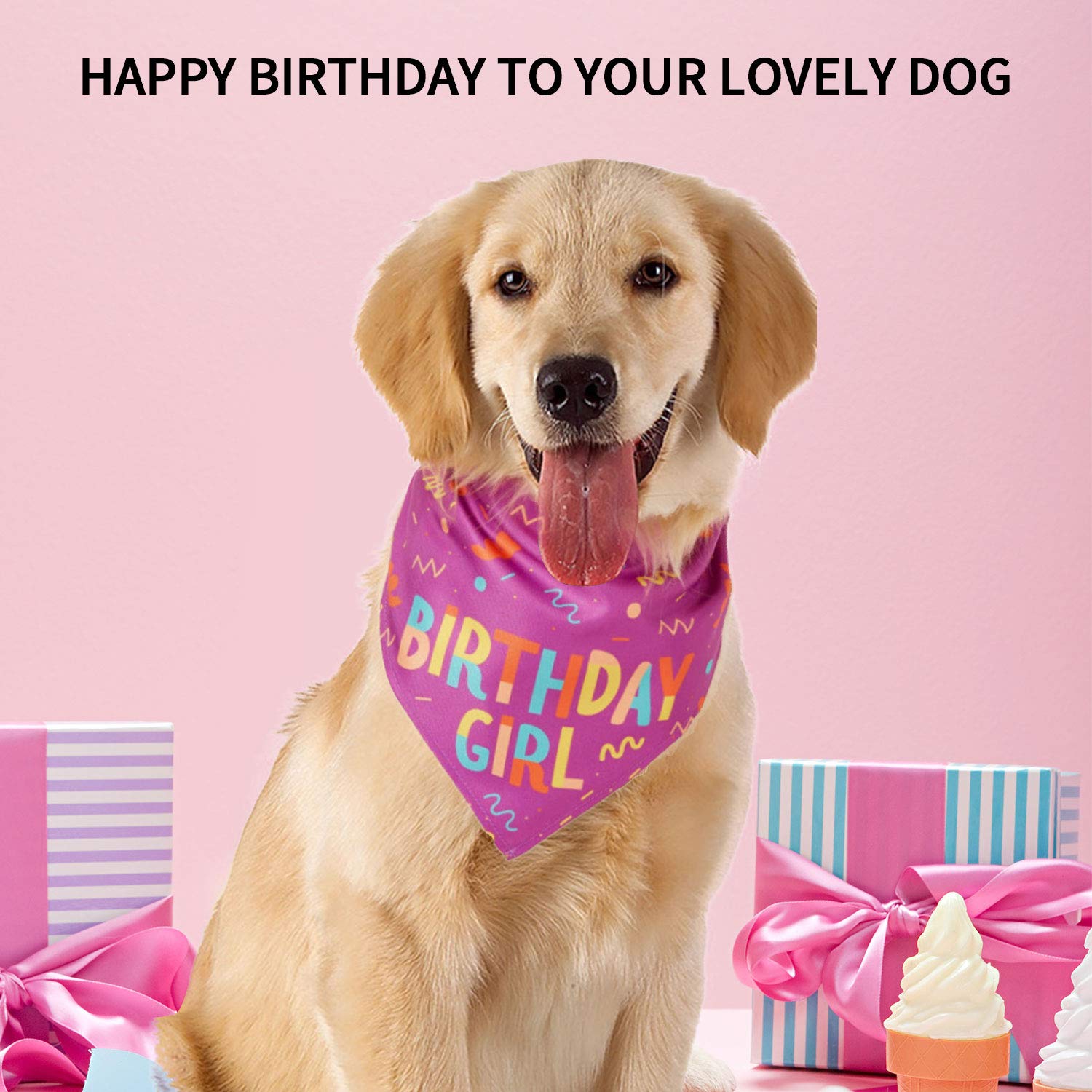 Hunde-Geburtstags-Halstuch – Kariertes Bandana „Birthday Boy“ Oder „Girl“, Aus Baumwolle, Für Hunde & Katzen, Größe Ca. 62x43 Cm