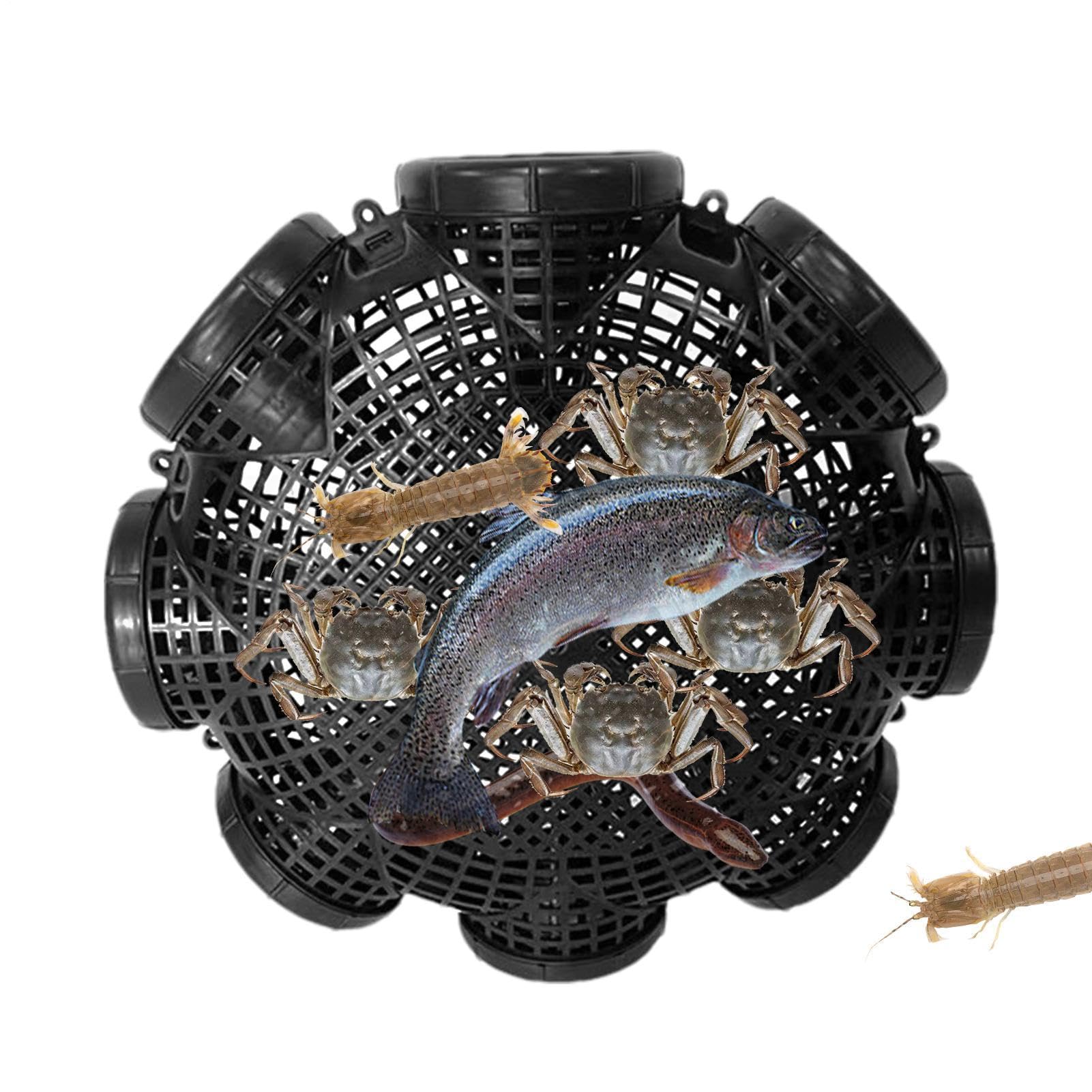 Fish Trap With Holes | Crab Cage Trap | Portable Catch Fishing Trap Cage | Breathable Plas-tic Crawdad Crawfish Trap | Detachable Fish Traps For Loach, Eel, Crab, Shrimp
