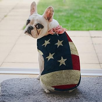 Amazon.co.jp: アメリカ国旗 星条旗 ペット服 犬服 春夏秋 Tシャツ 袖