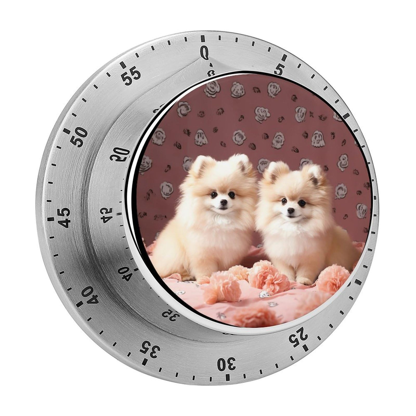 Pomeranians Puppies and Point Mechanical Kitchen Timer 60 Minute Wind Up Magnetic Timer Heavy Duty Stainless Steel Egg with Loud Alarm Manual Countdown Clock for Cooking, Office, Gym