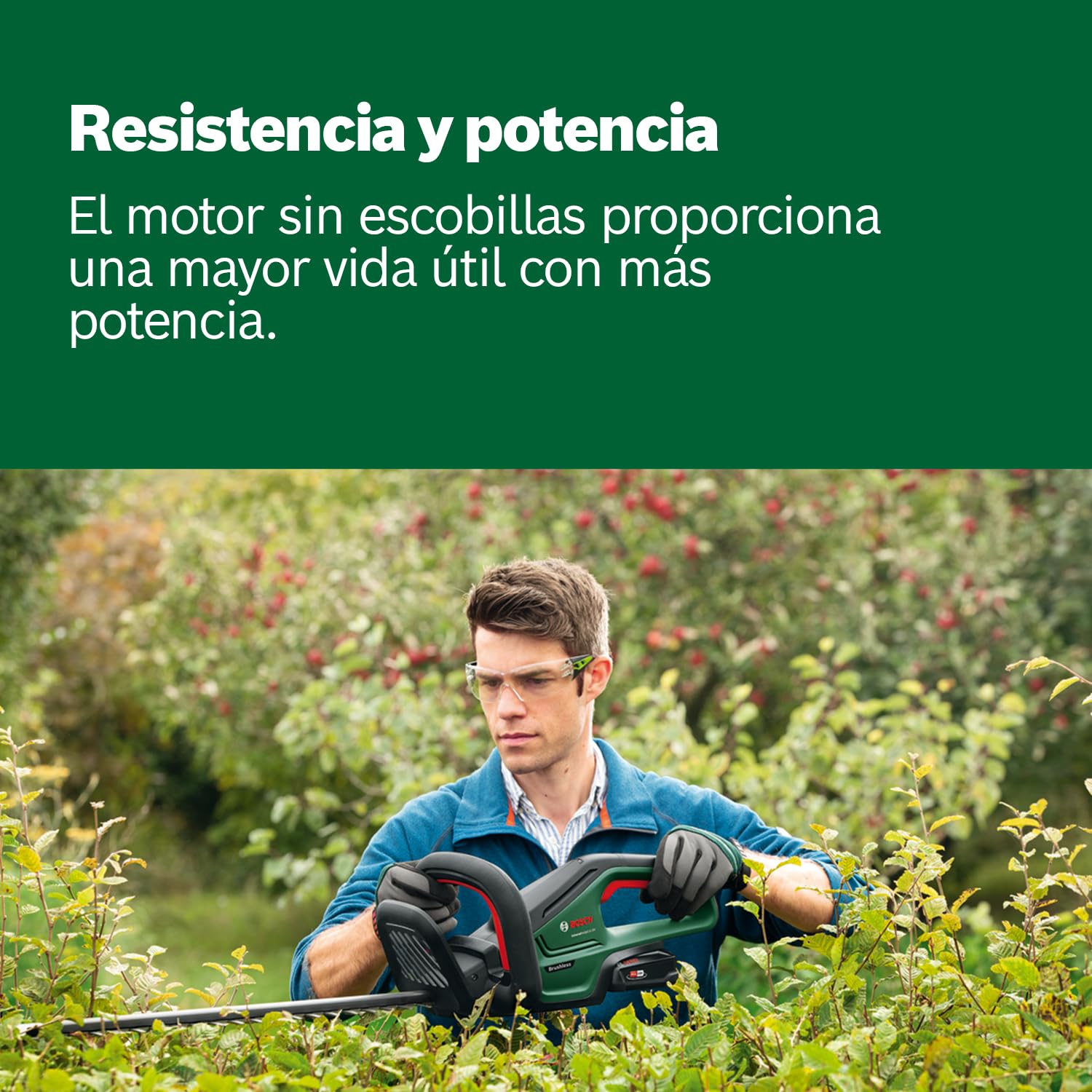 Bosch Home and Garden UniversalHedgeCut 18V-50, Cortadora de Setos a Batería, Sin Batería, Sistema de 18 Voltios, Longitud de la Sierra 50 cm, Embalaje en Caja