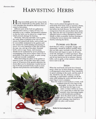 The Encyclopedia of Herbs, Spices, & Flavorings/a Cook's Compendium