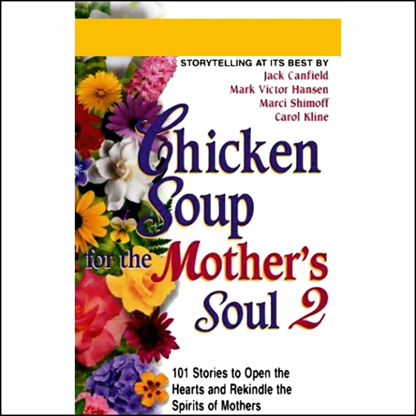 Chicken Soup for the Mother's Soul 2