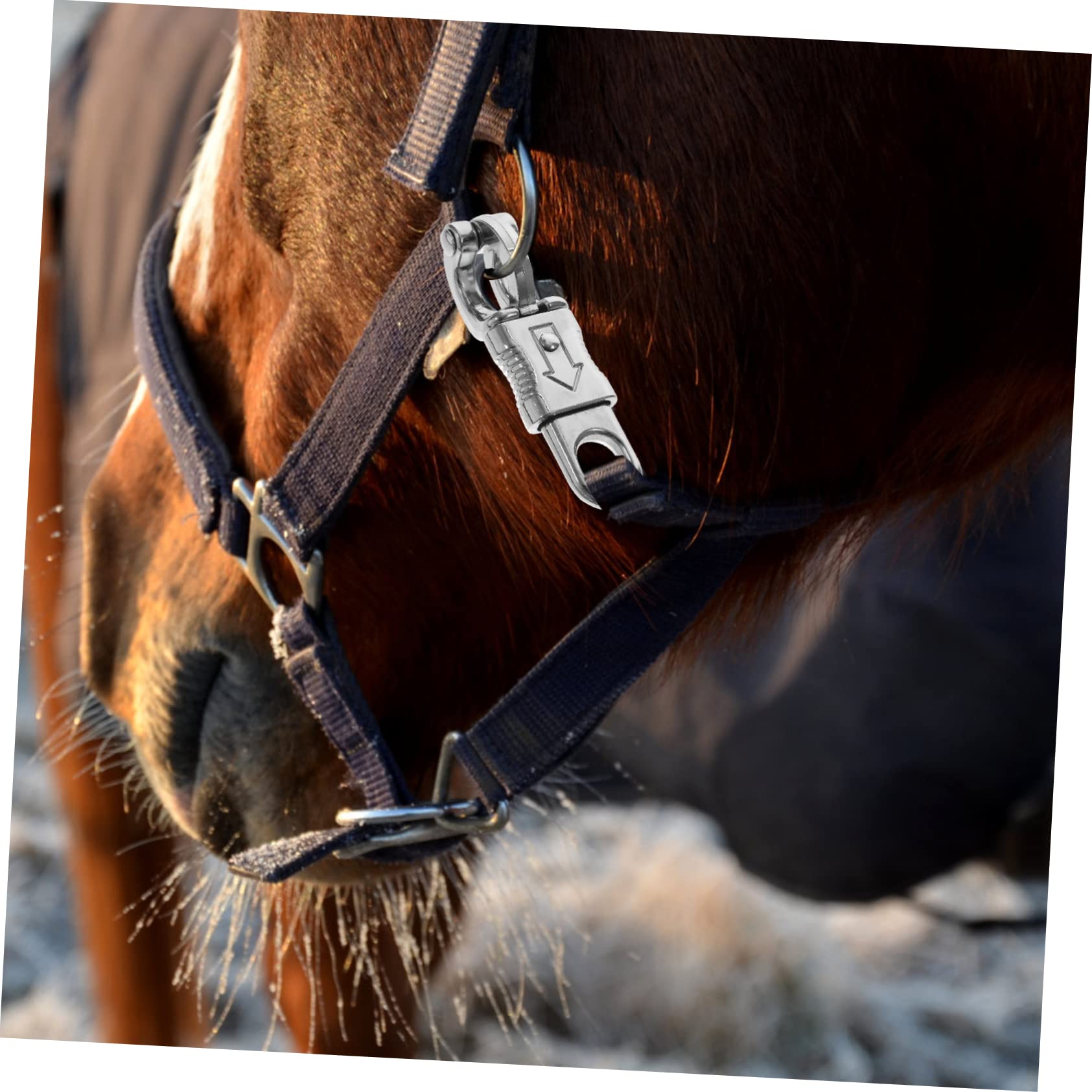 BUGUUYO Quick Release Snap Hook With Fixed Eye – Stainless Steel Equestrian Clip, For Leashes, Horse Restraint, And General Use, Silver