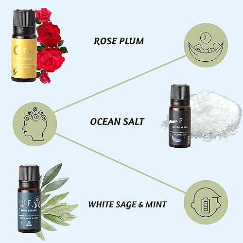 Miniatura 3 de Folkulture Aceites esenciales para aceite difusor  Juego de 6 aceites aromáticos o aceites difusores para el hogar  Aceite esencial difusor  Aceite