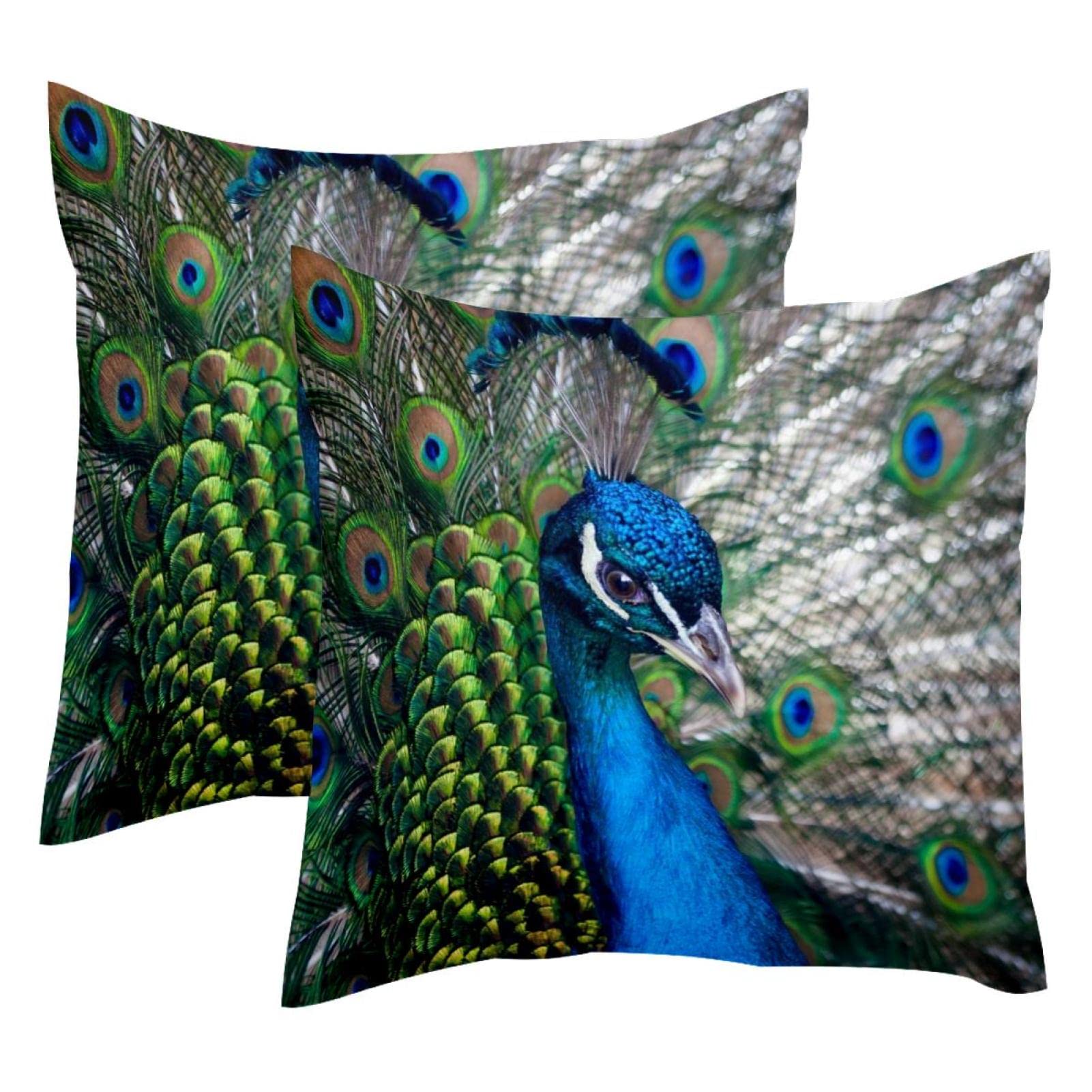 Housses de coussin lombaire paon animal lot de 2 déco maison de ferme confortable