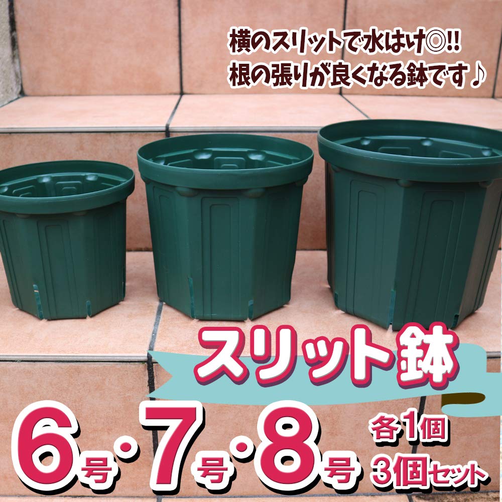 Amazon.co.jp: ITANSE スリット鉢 6・7・8号 各1個 計3個セット