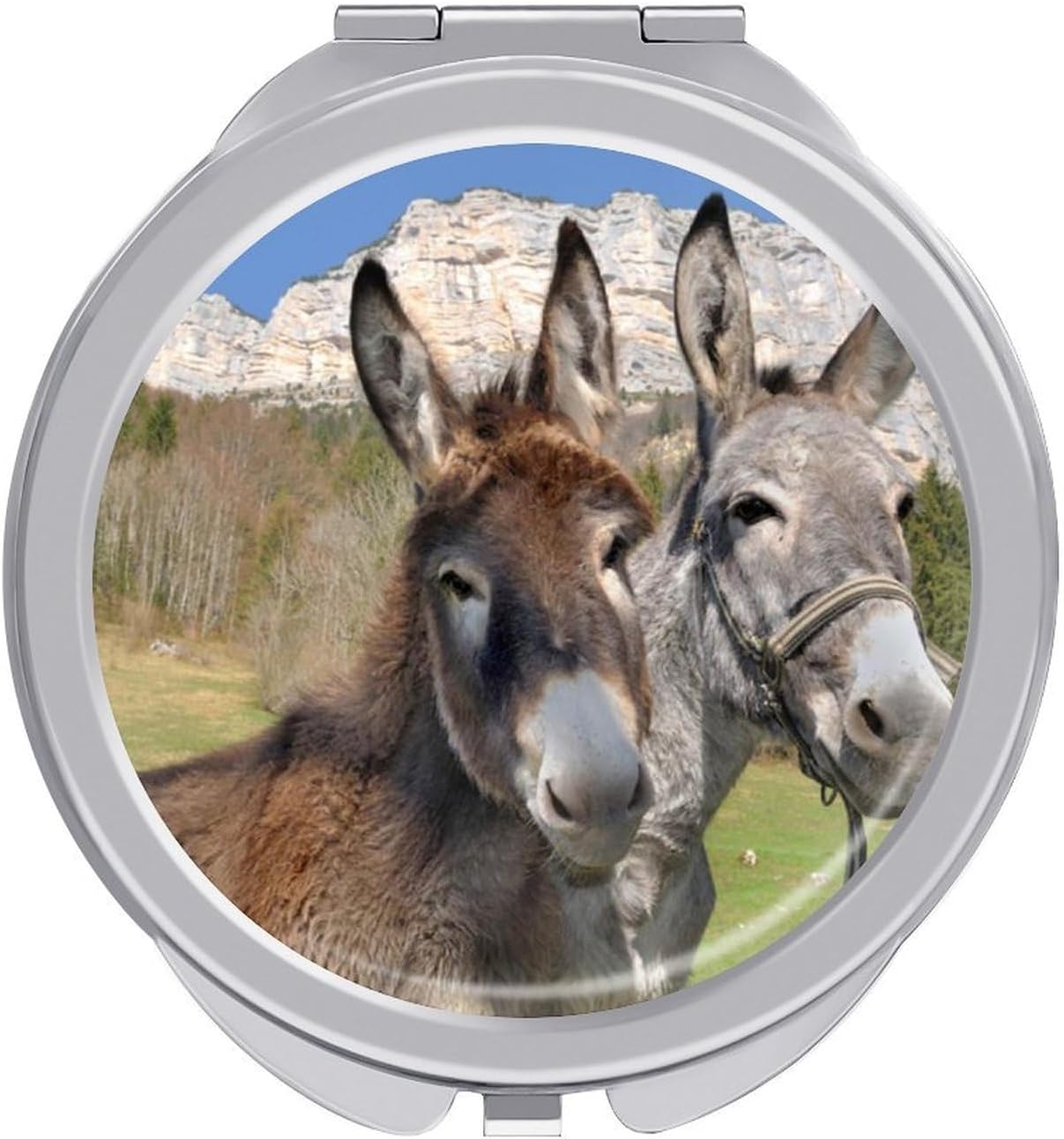 Funny Donkeys Makeup Mirror,Compact Portable Foldable Beauty Mirrors Durable Light in Weight Makeup Mirrors for Travel Office Outdoor