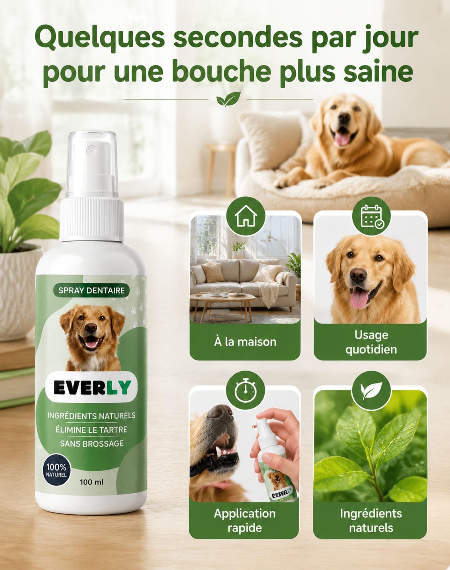 The Everly Spray Dentaire Chien, Antitartre Sans Brossage (300ML)