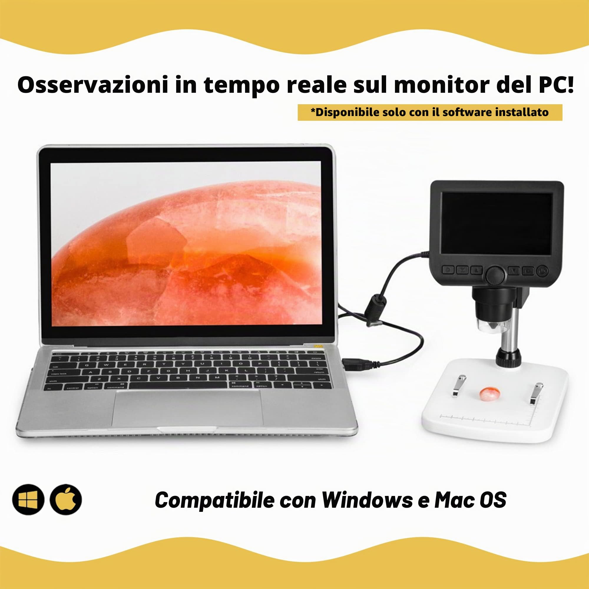 Levenhuk DTX 350 LCD Microscopio Digitale Portatile USB con Ingrandimento Zoom 20–300x per Lavori di Precisione in Ambito Elettronico, Biologico, Zoologico e per la Gioielleria