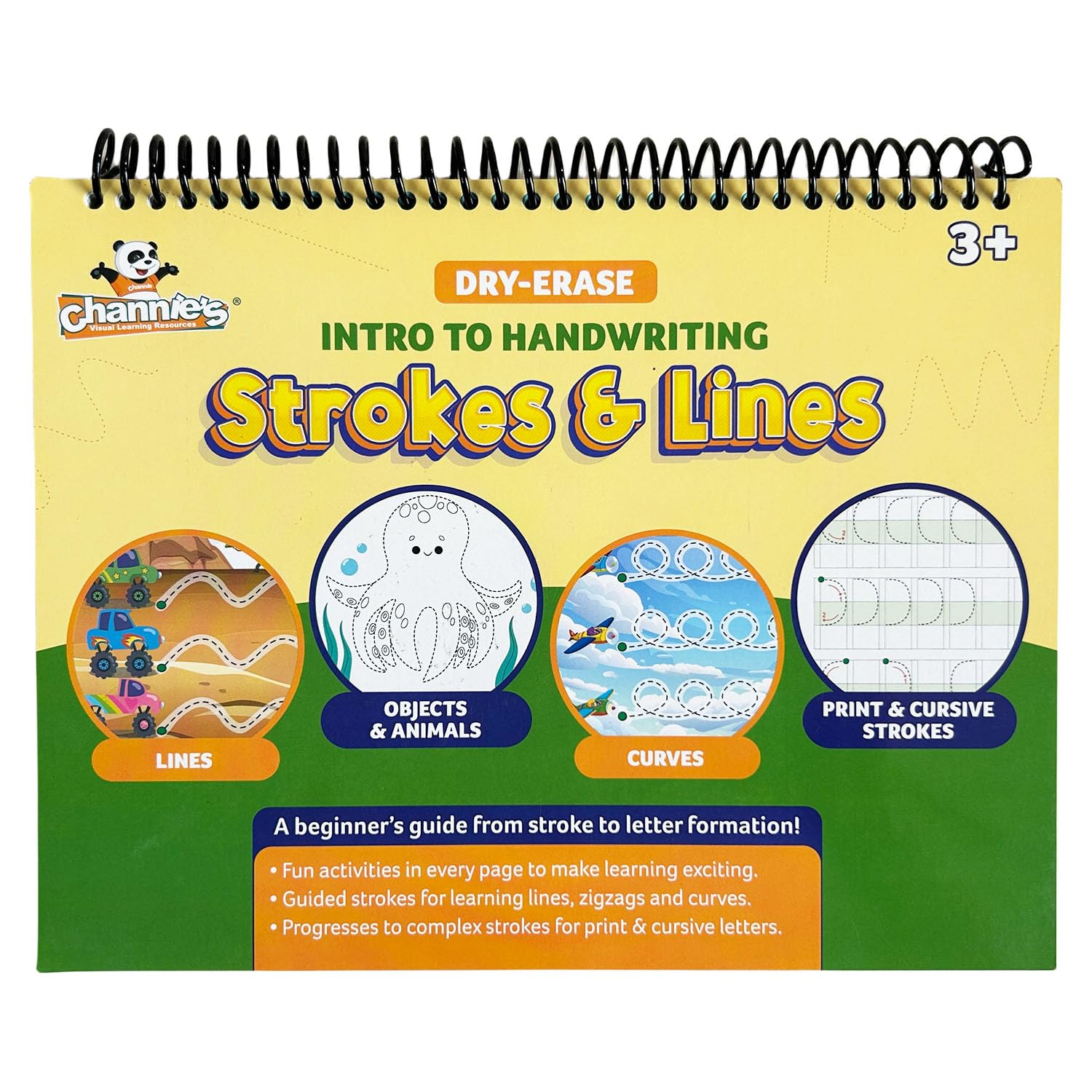Intro to Handwriting Strokes & Lines Dry Erase