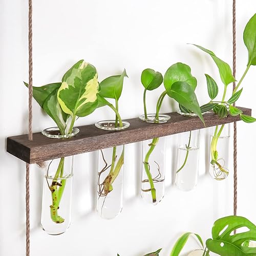 Miniatura 52 de Ivolador - Terrario de cristal colgante, maceta para plantas hidropónicas, decoración para el hogar