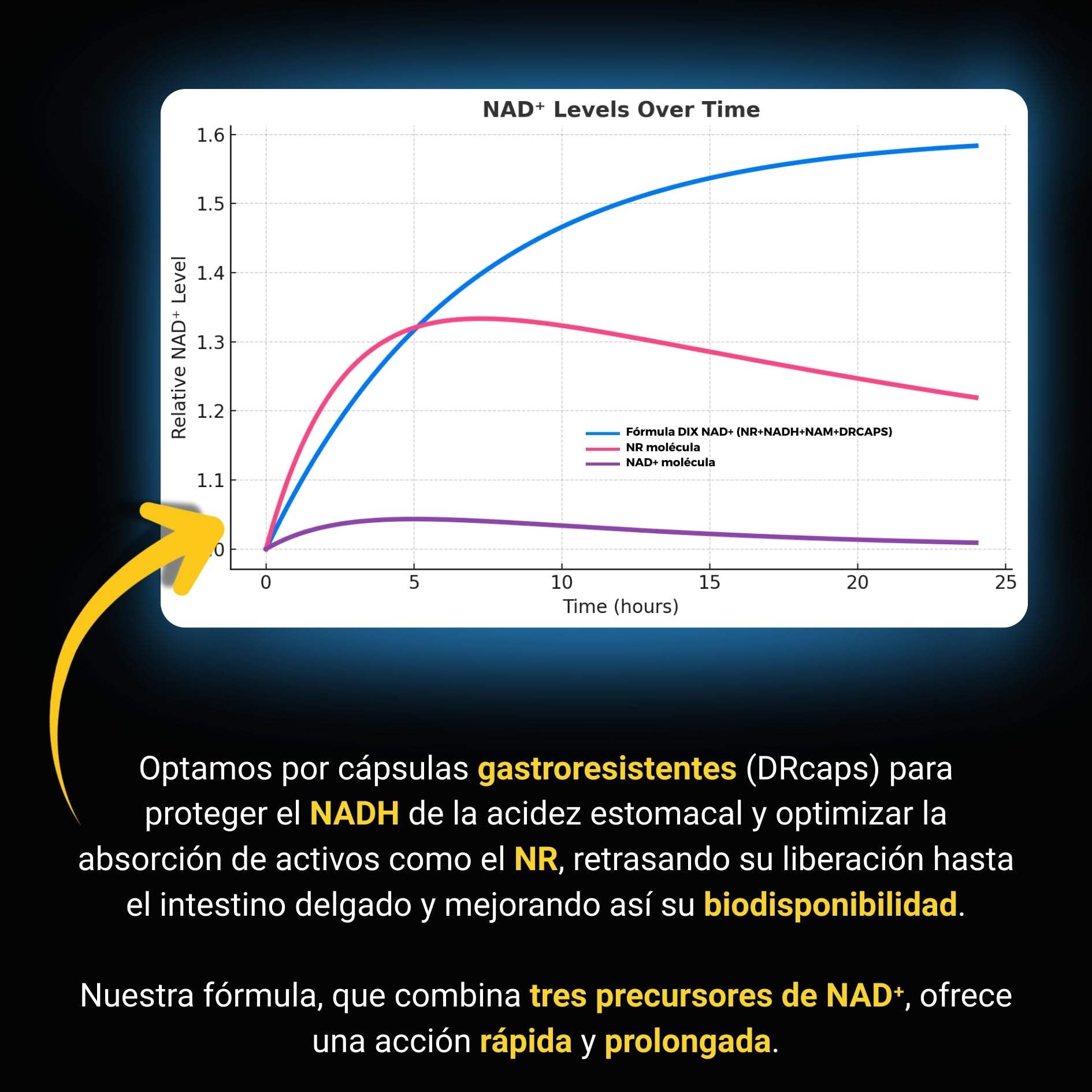 NAD+ ✗ NR + NADH + Vitamina B3 ✗ Cloruro de Nicotinamida Ribósido ✗ Antienvejecimiento ✗ Energía ✗ Acción sinérgica rápida y prolongada ✗ Cápsula vegetal y gastroresistente ✗ Fabricado en Francia