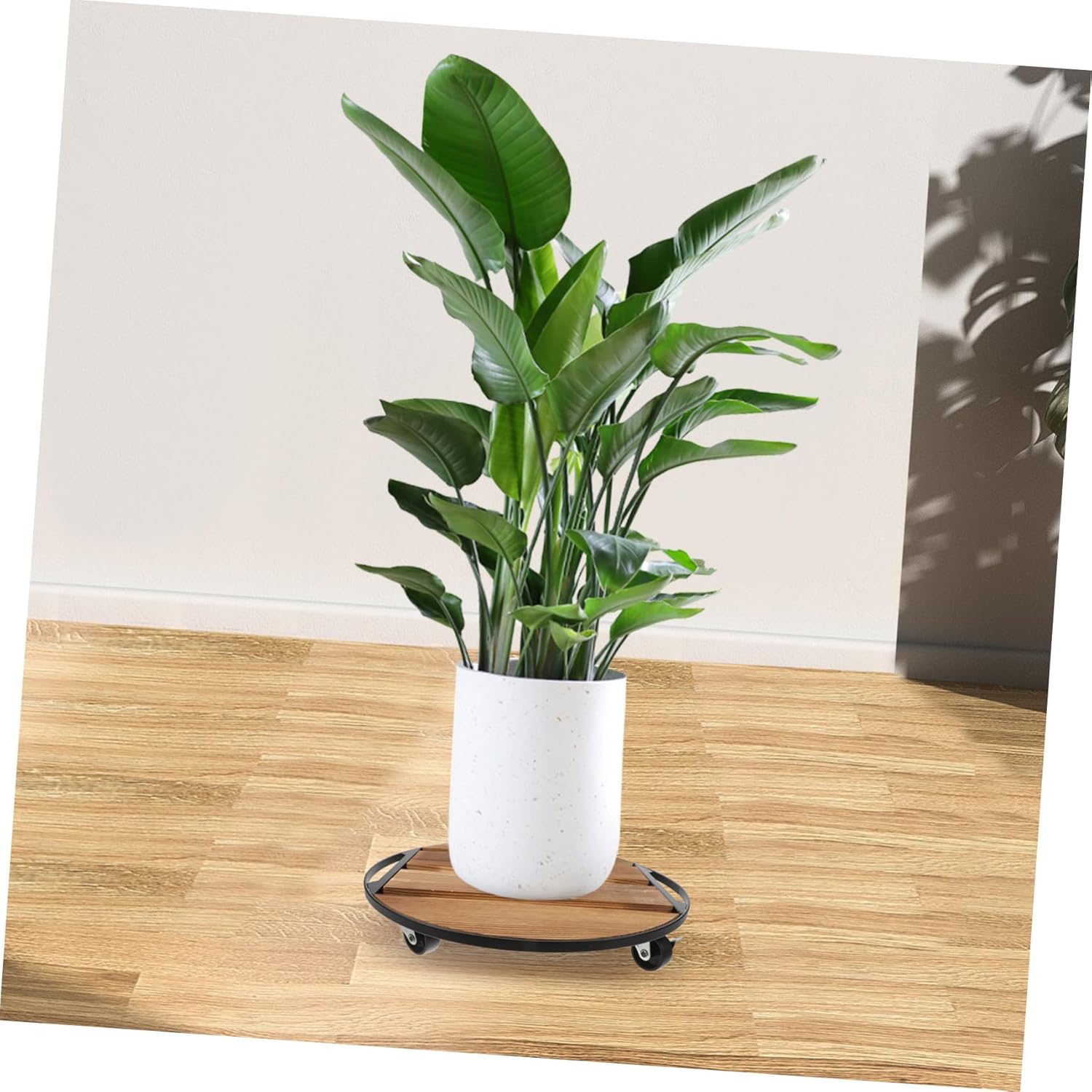 BESPORTBLE Round Wooden Plant Wheels Movable Plant Stand for Indoor Flower Pots Easy Rolling Base for Gardening for Home and Garden Use