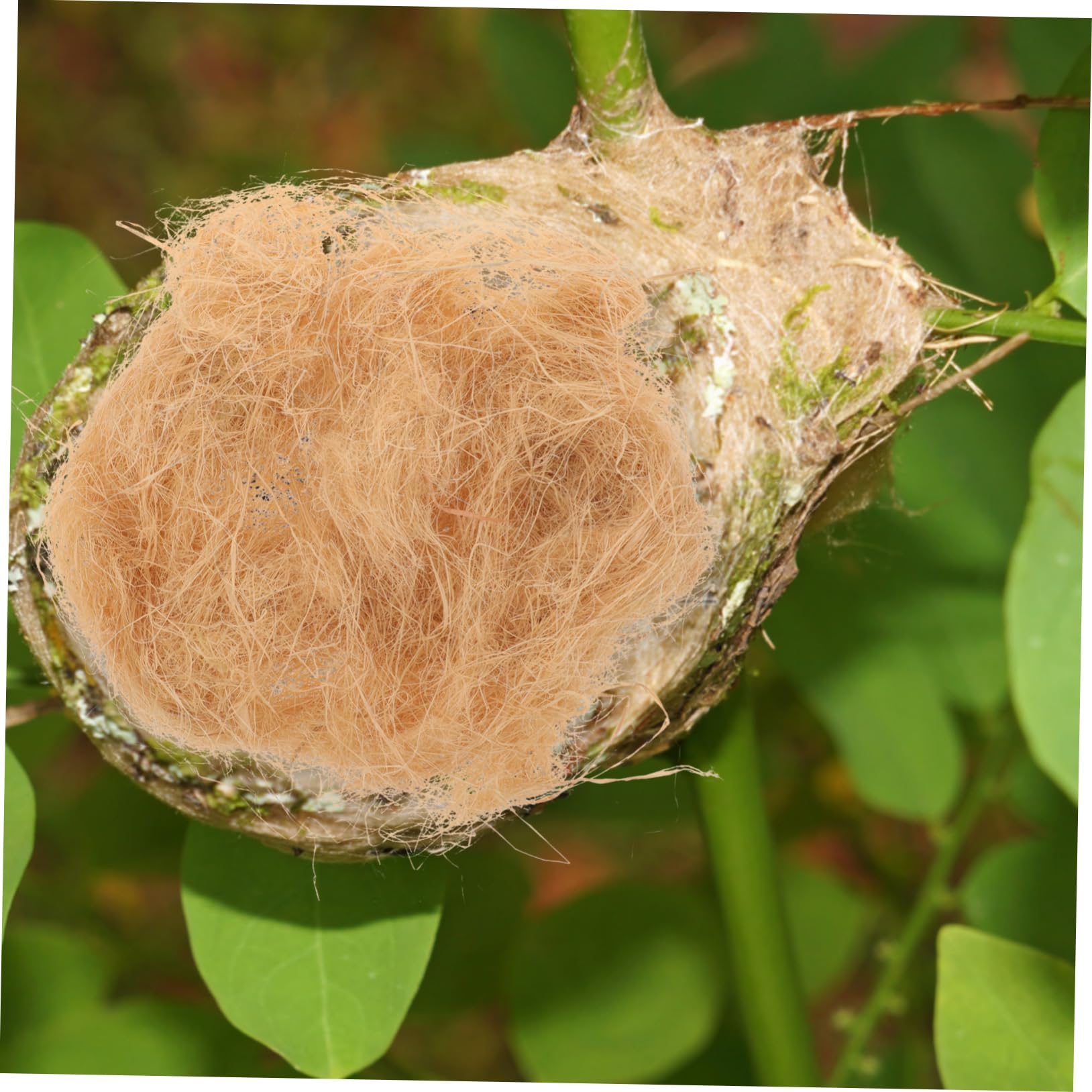 TOYANDONA 1Bag DIY Bird Nesting Material Natural Raffia Grass for Indoor Bird Nest Supplies Soft Bedding for Animals Like Hamsters Rabbits Cozy Nesting for Birds