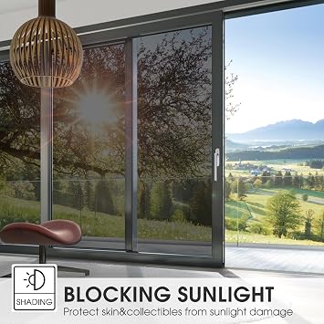 Bundle with Window Film Privacy One Way