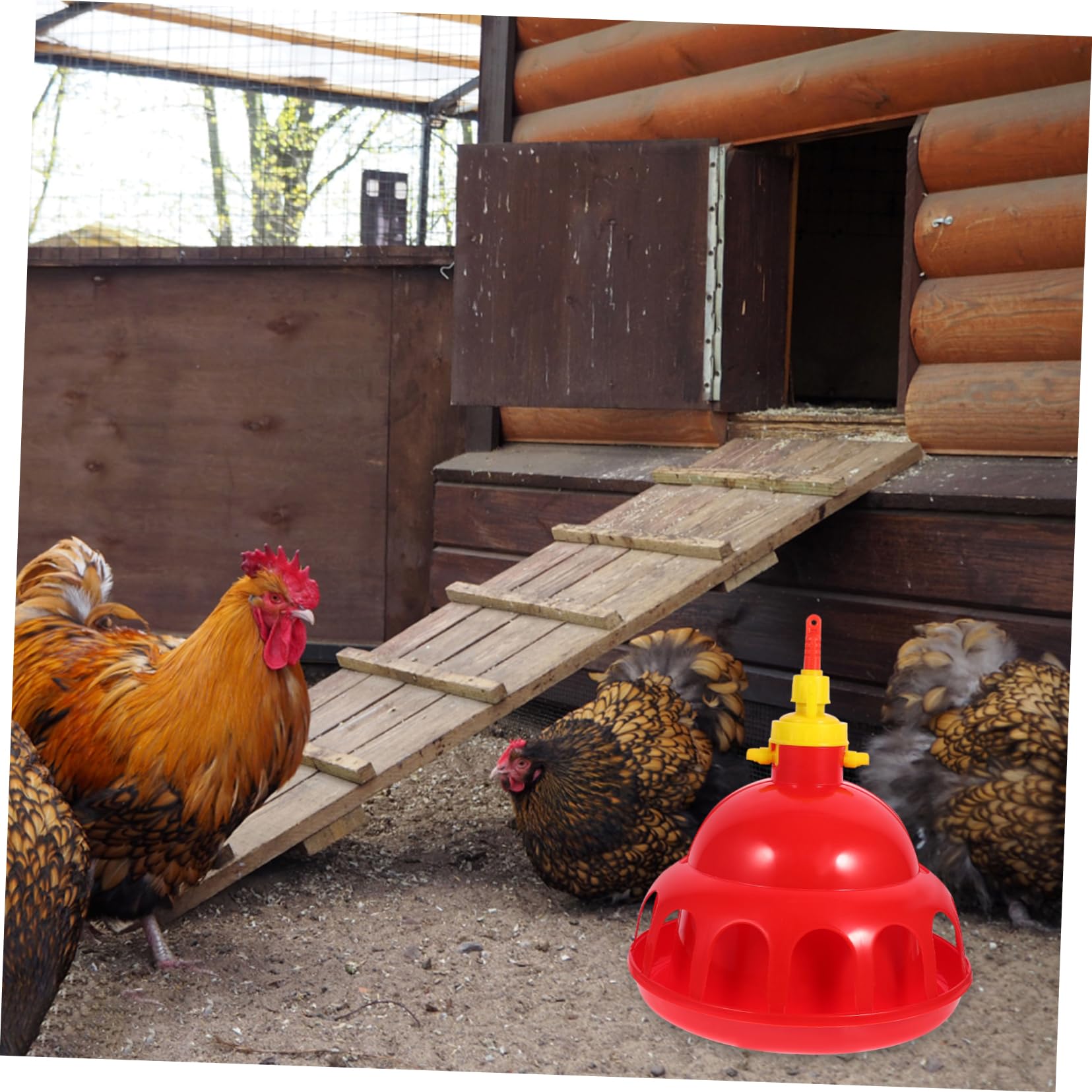 Abbeveratoio per Pollame Automatico in Pp Rosso per Quaglie e Galline | Beverini per Galline Automatico, Facile da Usare e Sicuro, per Fattoria e Negozio