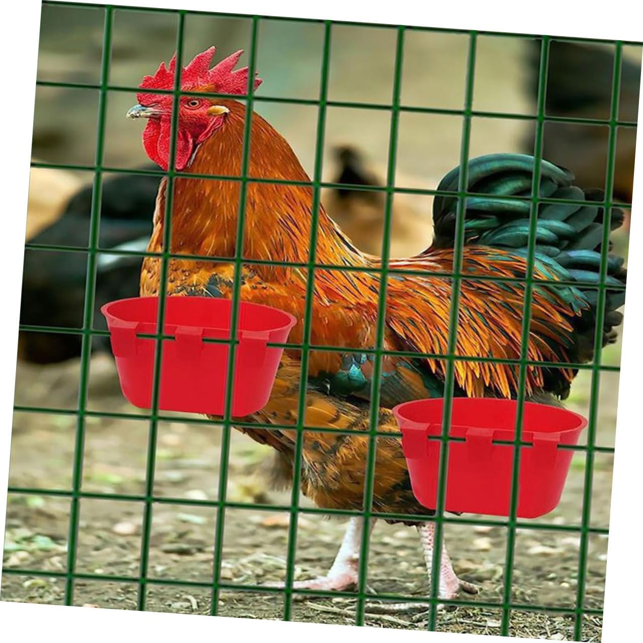FRCOLOR 20pcs Bird Cage Cups Small Hanging Feeder Bowls Seed Holder for Indoor Birds Pet Feeding Watering Supplies