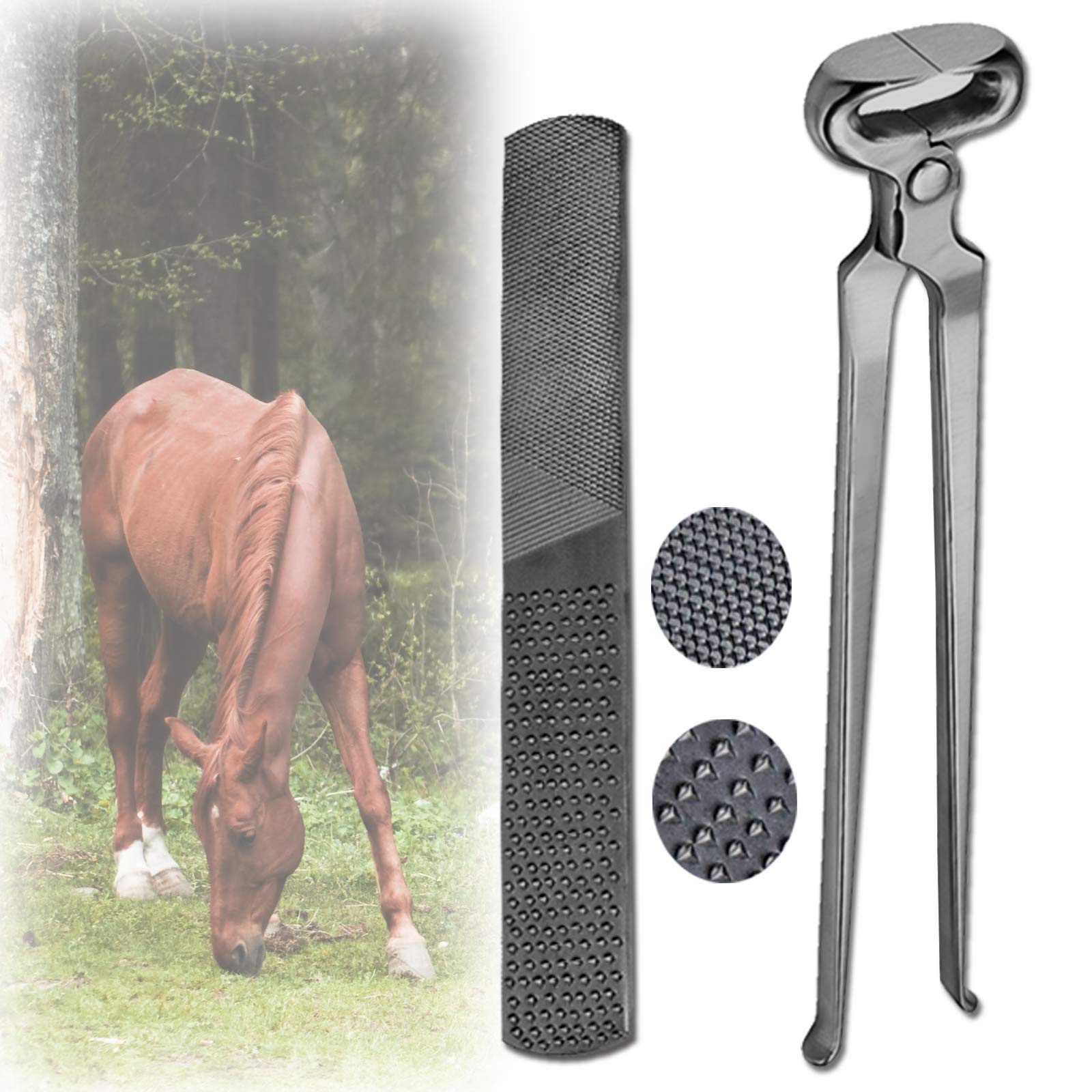 322 Profesjonalne najwyższej jakości narzędzia Farriers Hoof Nożyce trymer Frez Zestawy narzędzi do przycinania (wybór 2)