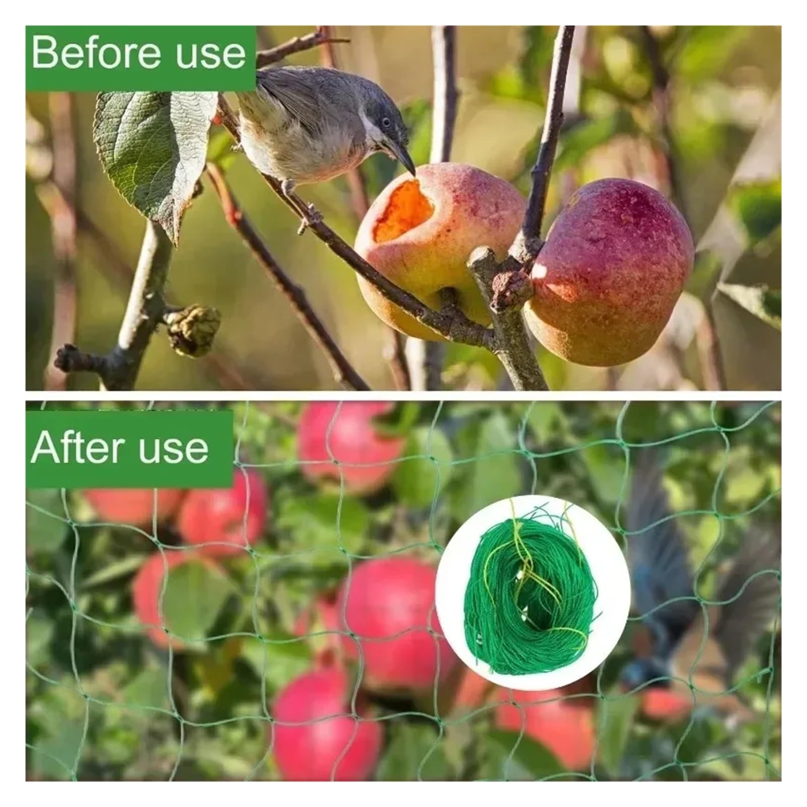 Rete Protettiva in Plastica 5/1 pz verdura frutta fiori piante rampicanti rete spessa in nylon resistente for cetrioli pomodoro uva accessori for la casa giardino(Grenn-1.8x1.8m,5PCS)