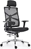 HOLLUDLE Ergonomic Office Chair with Adaptive Backrest, High Back Desk Chair with 4D Armrests, Adjustable Seat Depth, Lumbar Support and 2D Headrest, Black
