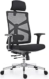 HOLLUDLE Chaise de Bureau Ergonomique avec Dossier Adaptable, Fauteuil D'ordinateur avec Accoudoirs 4D, Profondeur D'assise Réglable, Soutien Lombaire et Appui-tête 2D, Siège de Travail Exécutif, Noir - 1