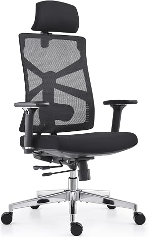 HOLLUDLE Silla de Oficina Ergonómica con Respaldo Adaptativo, Silla de Escritorio de Alto Respaldo con Reposabrazos 4D, Profundidad de Asiento Ajustable, Soporte Lumbar y Reposacabezas 2D, Negro