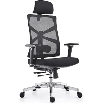 HOLLUDLE Ergonomic Office Chair with Adaptive Backrest, Desk Chair with 4D Armrests, Adjustable Seat Depth, Lumbar Support an