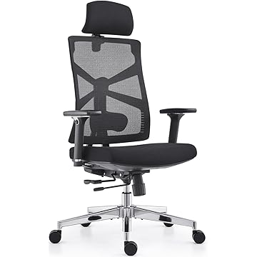 HOLLUDLE Silla de Oficina Ergonómica con Respaldo Adaptativo, Silla de Escritorio de Alto Respaldo con Reposabrazos 4D, Profundidad de Asiento Ajustable, Soporte Lumbar y Reposacabezas 2D, Negro
