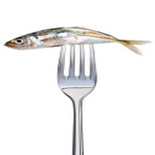 Chocolate Cheesecake Recipe - //medicalbooks.filipinodoctors.org