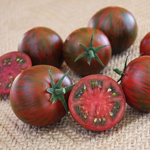 Purple Zebra F1 Hybrid | AAS Winning Tomato | 10