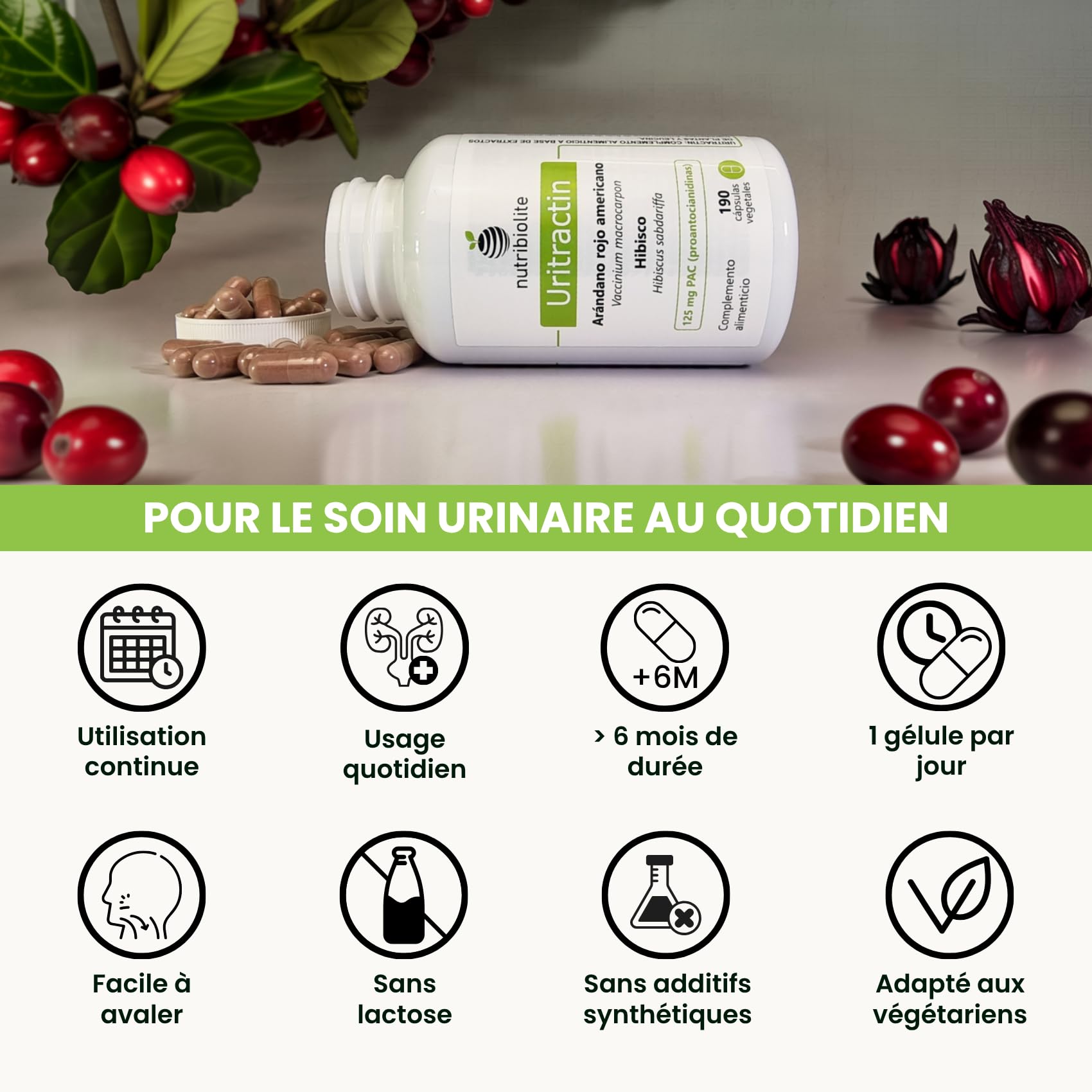 Canneberge gelules Cranberry avec Hibiscus 125 mg de PAC Proanthocyanidines - Confort Urinaire - 190 Gélules - Sans Additifs +6 Mois | Uritractin Nutribiolite