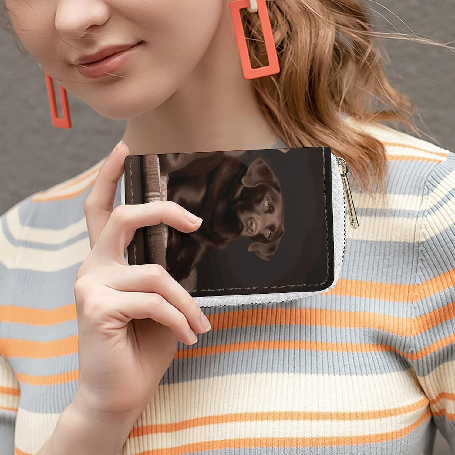 Brown Labrador Retriever Card Holder RFID Blocking,Credit Card Wallet for Women And Men,Card Case Organizer Bag with Zipper