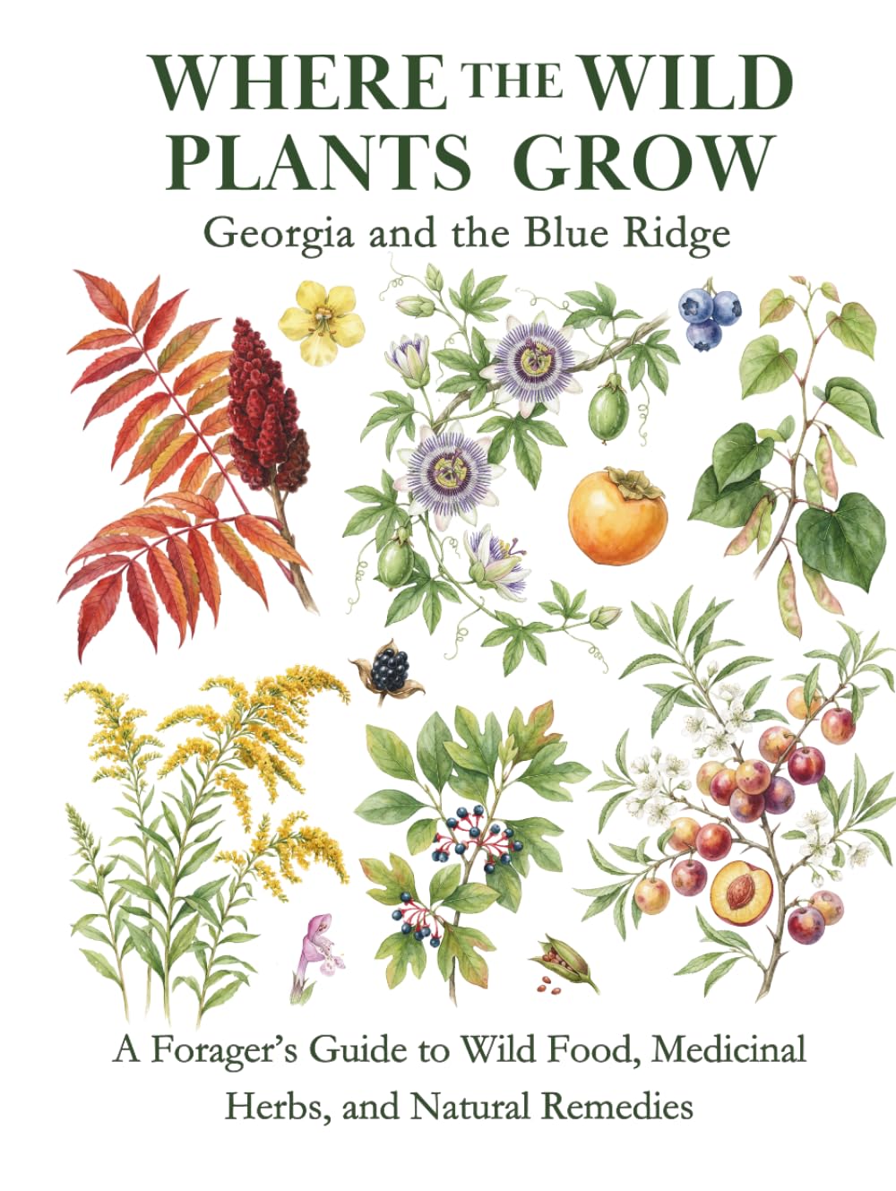 Georgia and the Blue Ridge: A Forager’s Guide to Wild Food, Medicinal Herbs, and Natural Remedies (Where the Wild Plants Grow: Illustrated Foraging Guides)