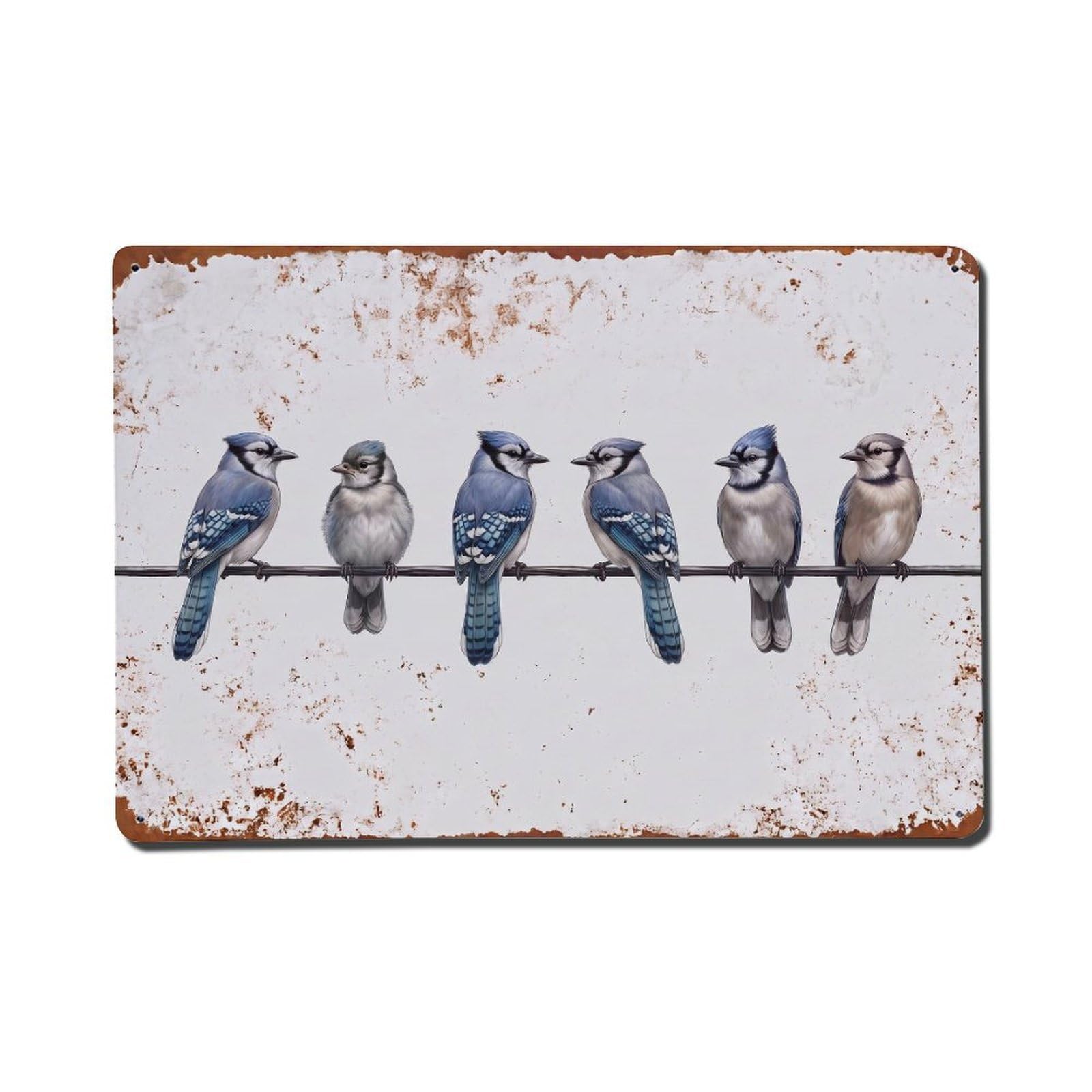 Vintage Retro Birds Blue Jay Metal Tin Sign