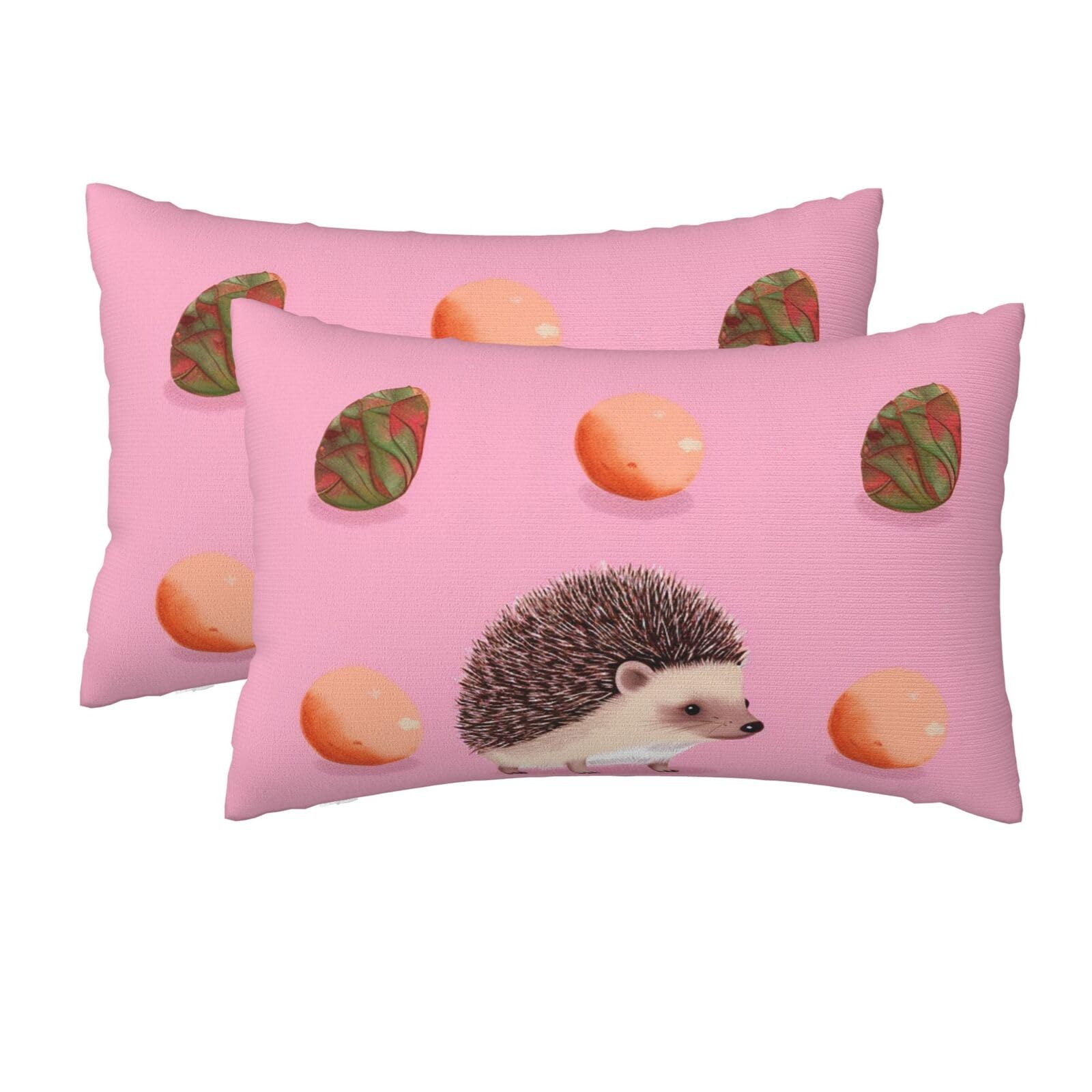 2 Pack Queen Size Pillow Cases for Hair and Skin Soft Breathable Pillow Case Covers with Hidden Zipper Little Hedgehog Pillowcase 20x30 Inches Pillow Cover for Sleeping Gift