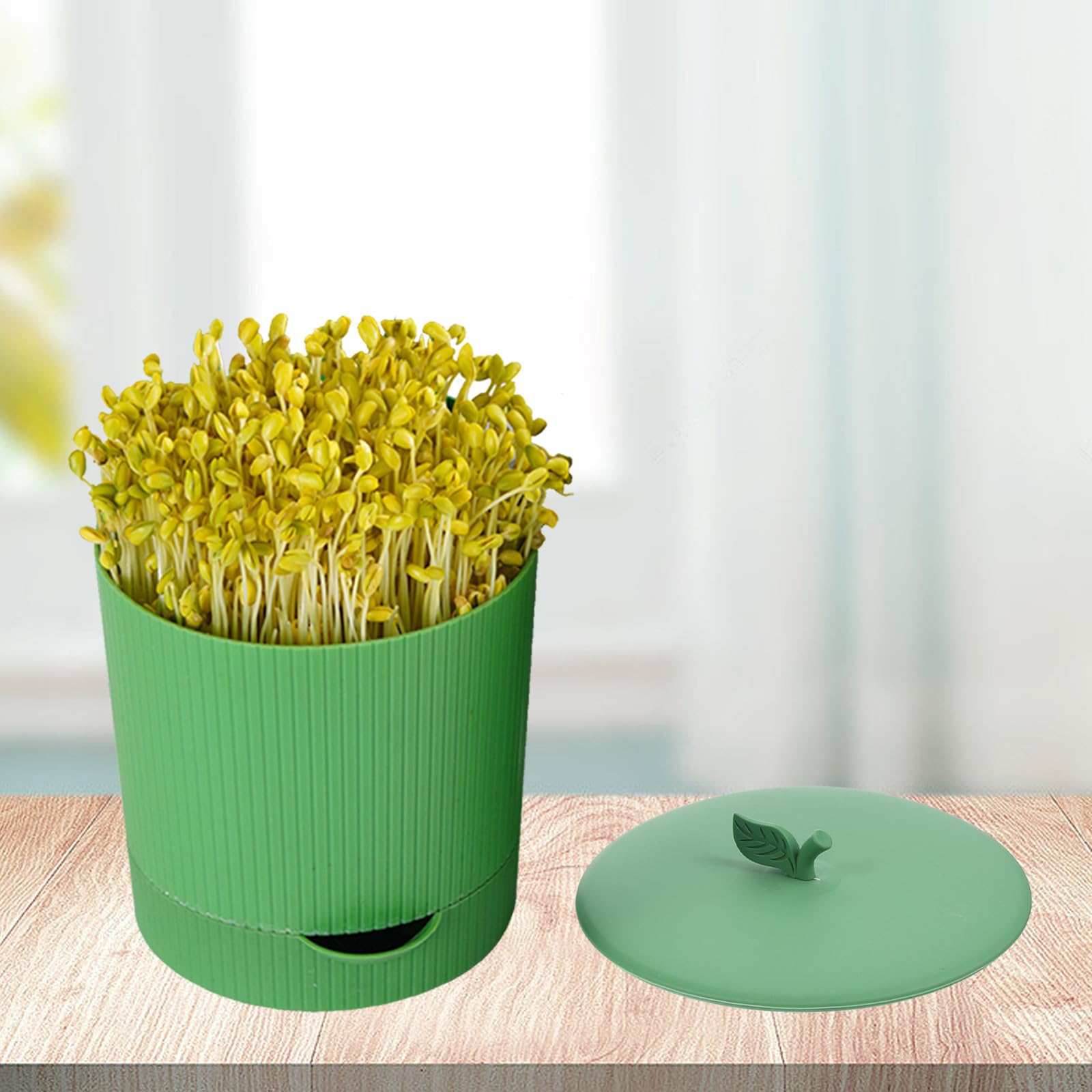 Barattolo per Germogli di Fagioli Verde in Pp e Pietra, Riutilizzabile e Traspirante, per Orto e Giardinaggio in Giardino, Kit per Germinazione Semi di Grano e Soia