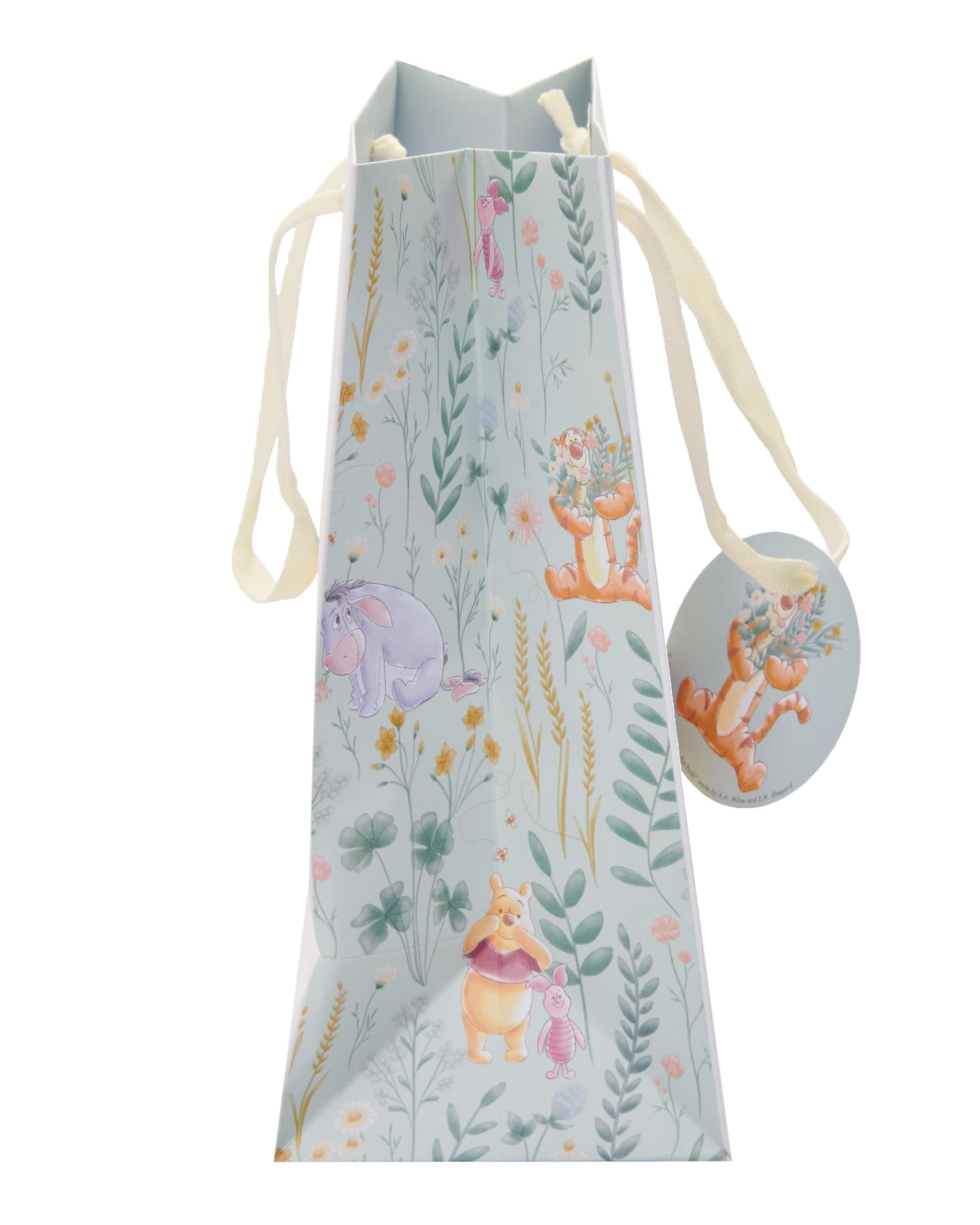 UK Greetings Disney Winnie The Pooh Medium Gift Bag for Him/Her/Friend - for Birthdays, Thank You & Other Events - Pooh & Eeyore Design