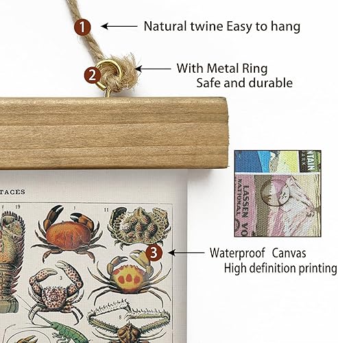 Miniatura 45 de XIAOAIKA Póster de botánica vintage con marco de madera, tabla de plantas venenosas antiguas, arte educativo botánico con especies peligrosas, 1