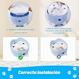 Ver la foto 7