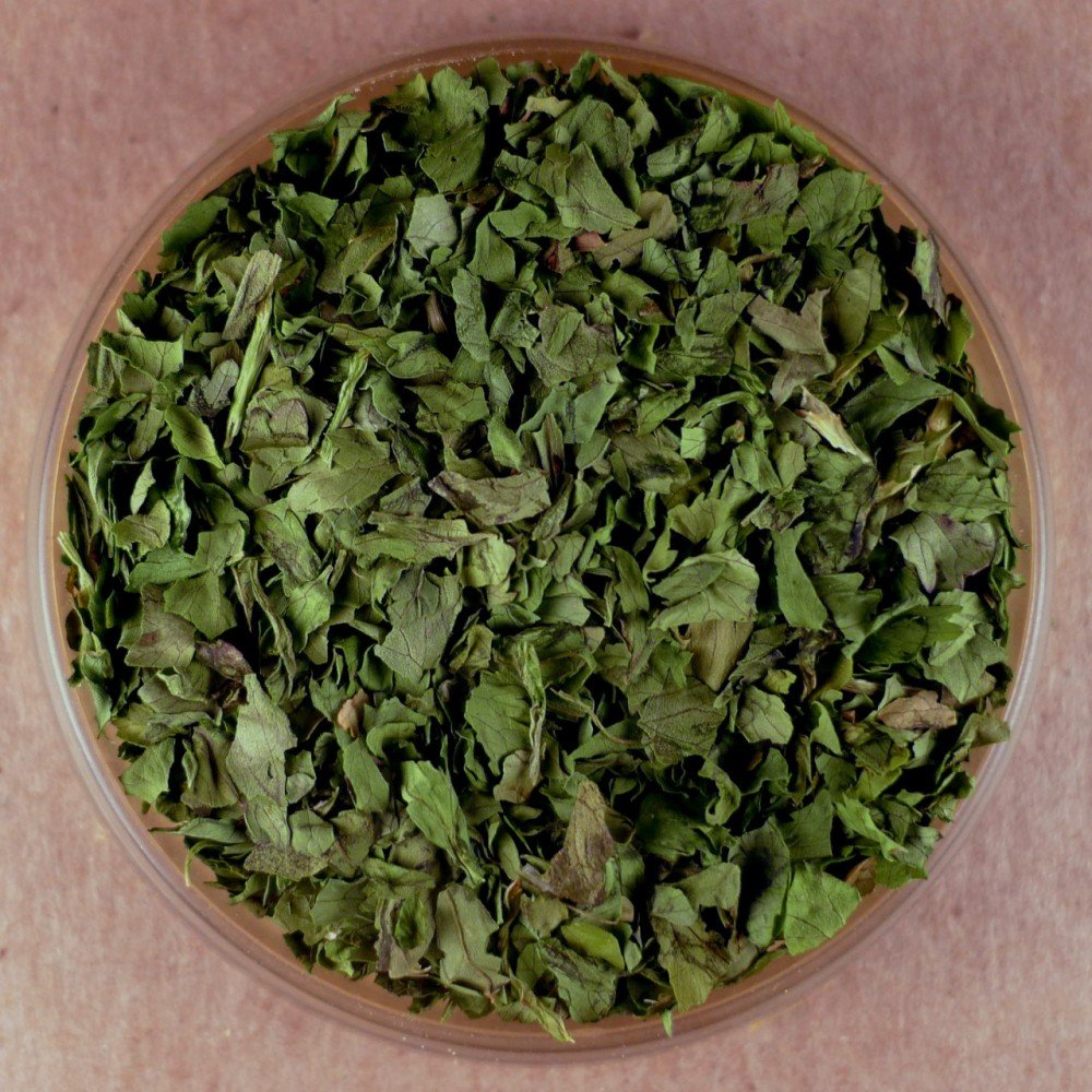 Cilantro - 5 lbs Bulk
