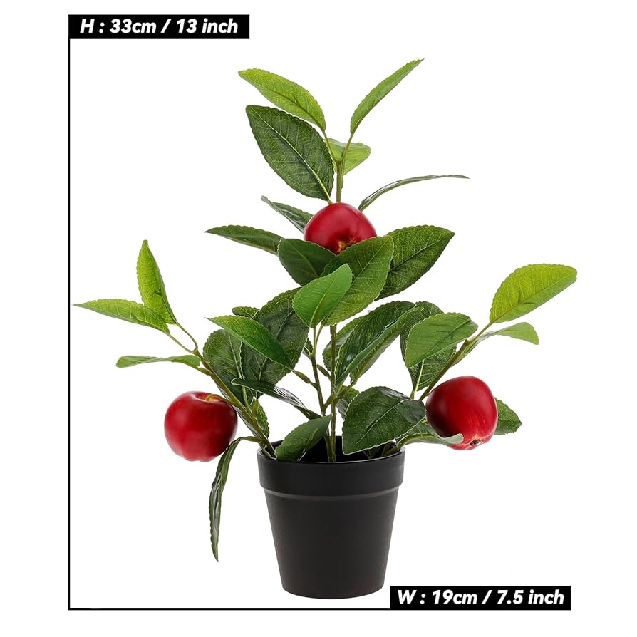 ☆りんご X39.49.AEON 3点セット ☆りんご様専用 X39.49.AEON 3点セット