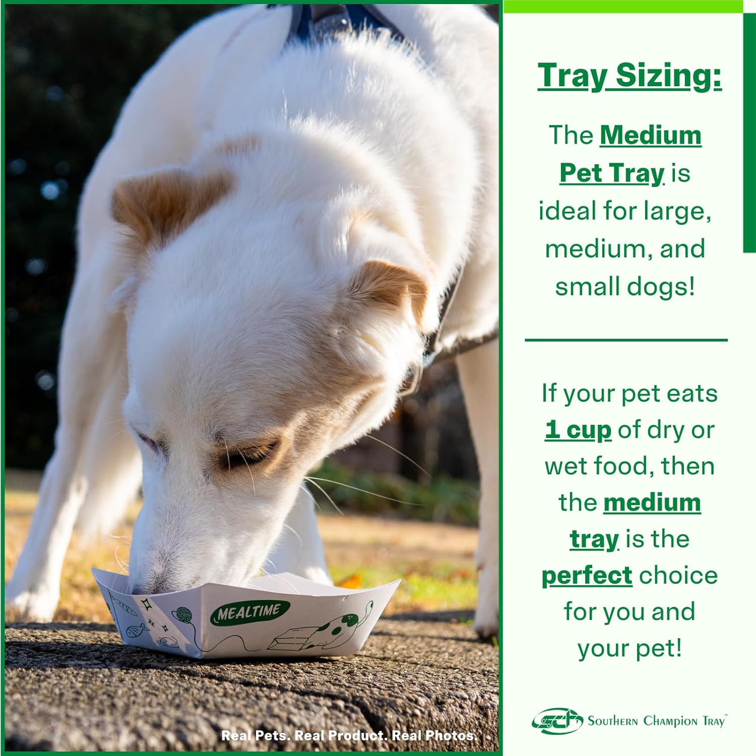 Southern Champion Tray, Medium Disposable Pet Food Bowl, Tray, Purrfect for Feeding Cats and Dogs, Wet Food and Dry Food, Indoor and Outdoor, 1 cup Capacity, 250 Count