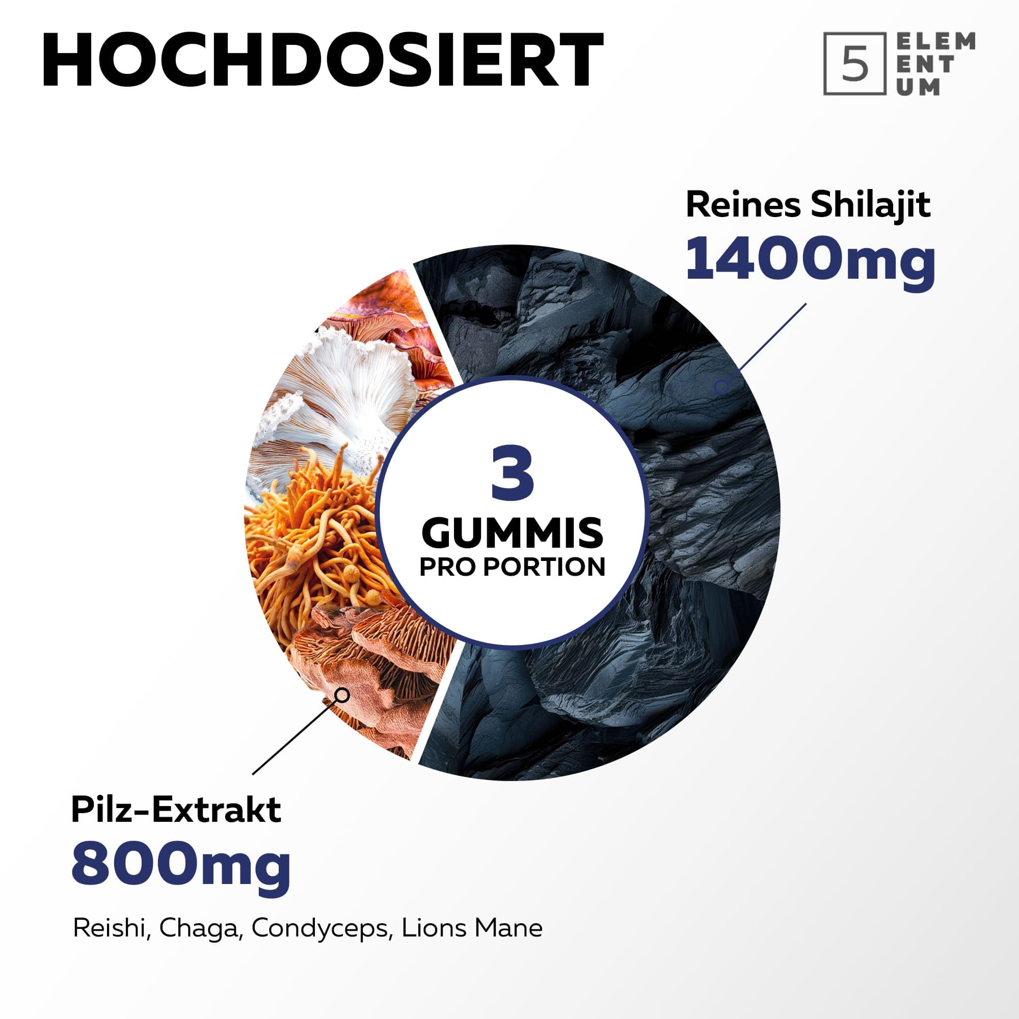 Natural Shilajit Orsetti gommosi 2200MG - Premium Himalaya Shilajit gomma con criniera di leone, Reishi, Chaga & Cordyceps - dall'Himalaya per energia e vitalità - 90 pezzi