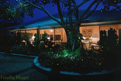 Luces LED solares de hadas, relámpagos para insectos... patentadas para imitar naturalmente a las luciérnagas reales