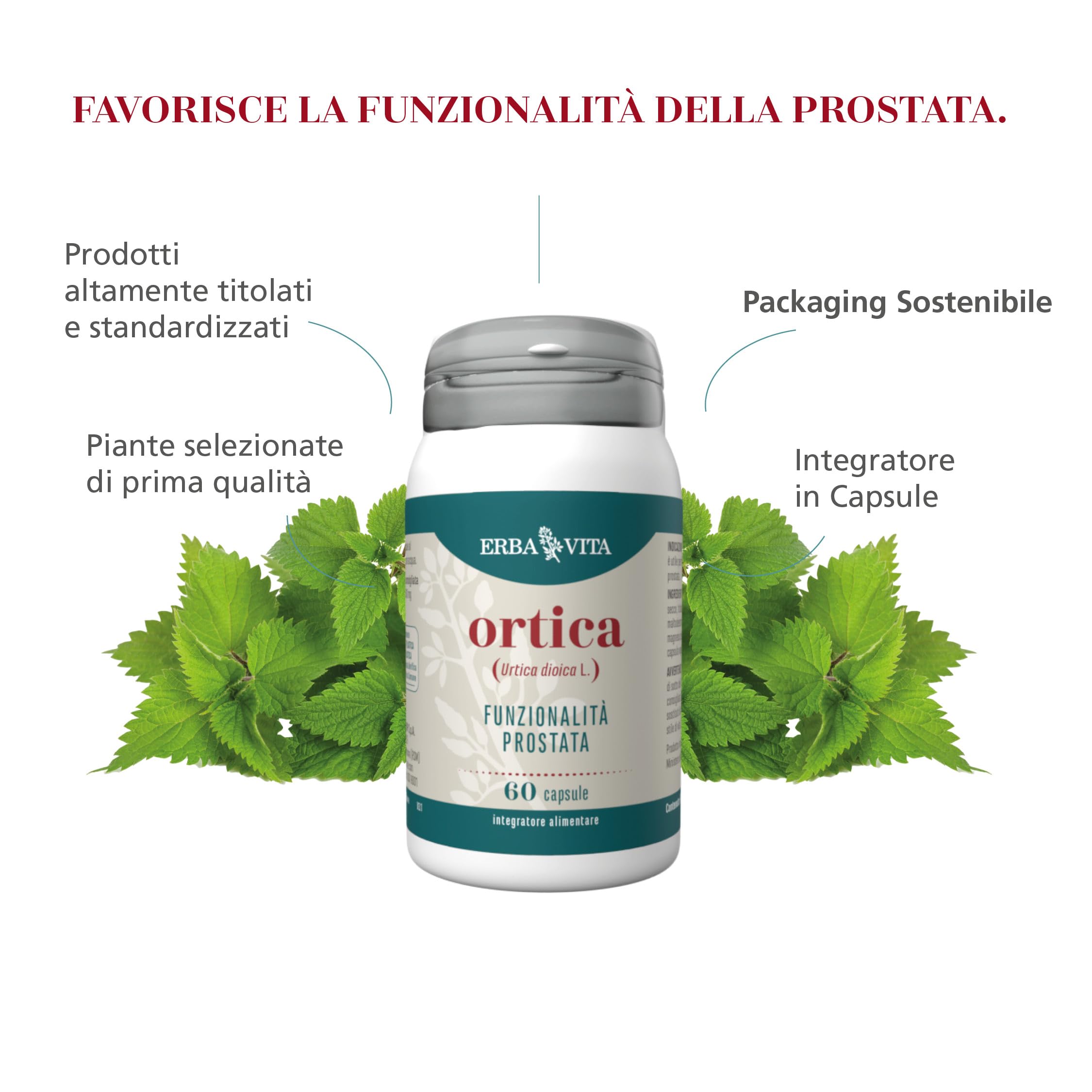 ERBA VITA Integratore Alimentare di Ortica - 60 Capsule - Utile al benessere della prostata